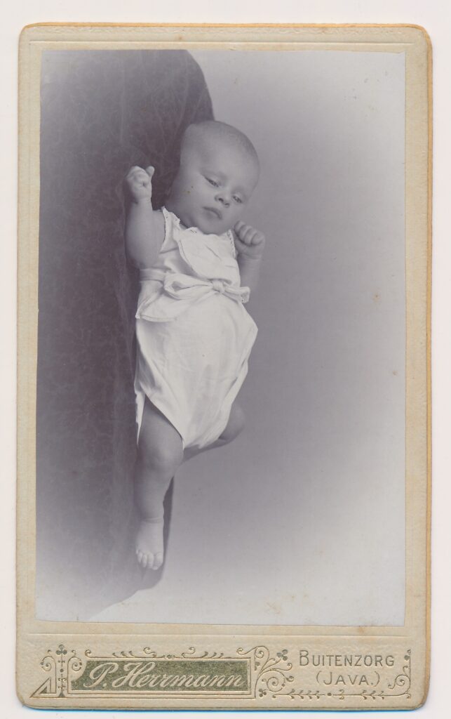 Bekijk de foto's 1 van P. Herrmann: Sophie Hunger, Buitenzorg ca. 1905