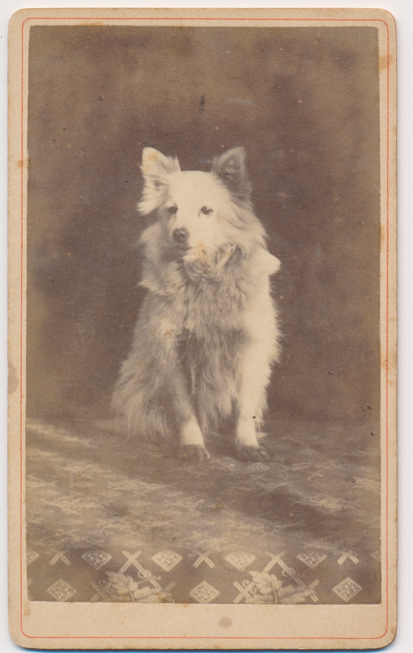 Onbekend: hond, ca. 1885